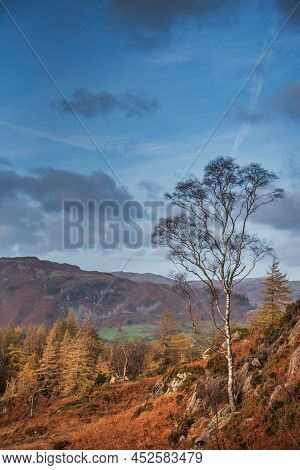 Epic Landscape Image Of Stunning Autumn Sunset Light Across Langdale Pikes Looking From Holme Fell I