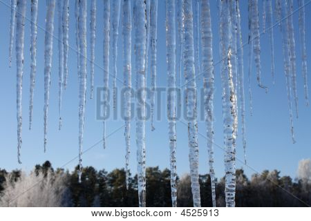 Icicles