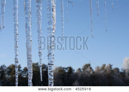 Icicles
