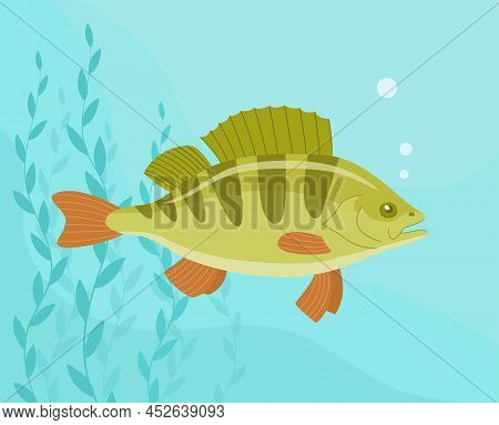 River Fish Perch. Cooking Delicious Food. Underwater Life. Cartoon Vector Illustration
