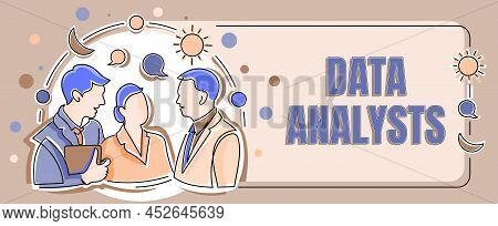 Sign Displaying Data Analysts. Business Showcase Programmer Design And Create Report Identifies Patt