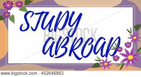 Hand Writing Sign Study Abroad. Concept Meaning Pursuing Educational Opportunities In A Foreign Coun