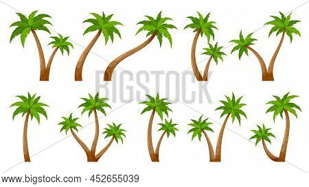 Palm Tree Tropic Plant Trunk Summer Green Flat Set. Tropical Trunk Design Element Postcard Travel Va