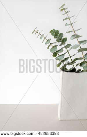 Eucalyptus Branches In Vase Vertical Modern Minimalistic Design With Copy Space