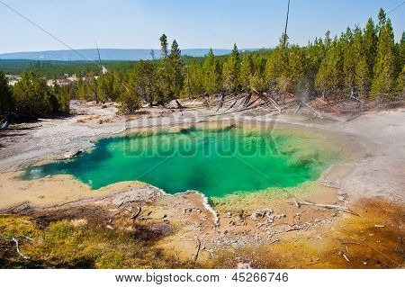 สระว่ายน้ำน้ำพุสีเขียวสวยงามในอุทยานแห่งชาติเยลโล่สโตน
