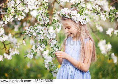 Beautiful Young Girl In Blue Dress In The Garden With Blosoming  Apple Trees. Cute Girl  Holding A B