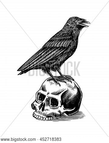 Magic Crow Sits On A Skull. Raven Sketch. Vintage Engraving Mystical Element In Boho Style. Doodle O