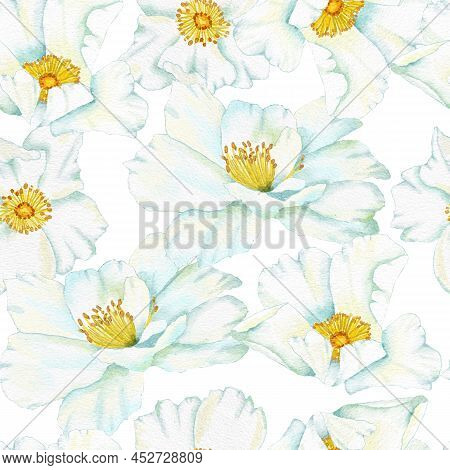 Watercolor Hand Drawn Seamless Pattern With Floral Wild Rose Flowers Leaves Branches. Green Leaf Gre