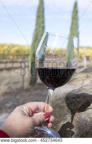 Tasting Of Red Sangiovese Wine With Typical Hilly Vineyards And Cypress Tree On Background Near Mont