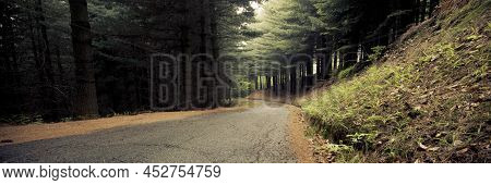 Autumn Road In Banner Header Composition. Concept Of Park And Nature Outdoors. Travel And Explore Wo
