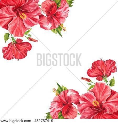 Watercolor Tropical Plants. Hibiscus Flowers. Frame For Inscriptions. Watercolor Botanical Illustrat