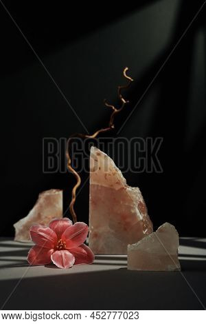 Vertical Modern Still Life Composition Of Beautiful Flower, Wooden Branch And Rock Salt Stones On Gr