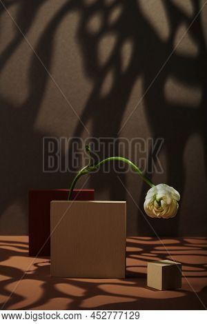 Vertical Contemporary Still Life Composition Of Fresh White Flower, Colored Tiles And Wood Cube Agai