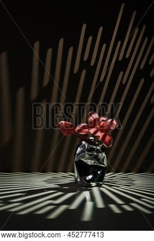 Vertical Contemporary Still Life Composition Of Fresh Pink Flower In Aluminum Beverage Can In Gobo L