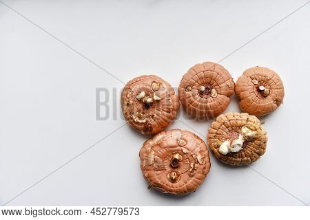 Seeds And Bulbs Of Gladioli In Spring Before Planting