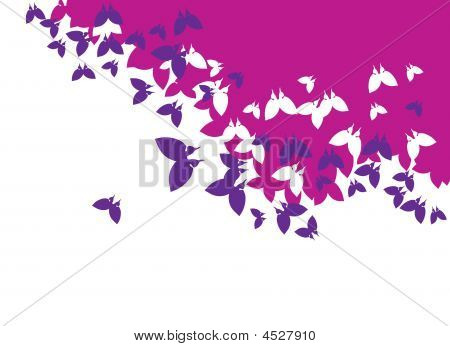 Background_butterfly