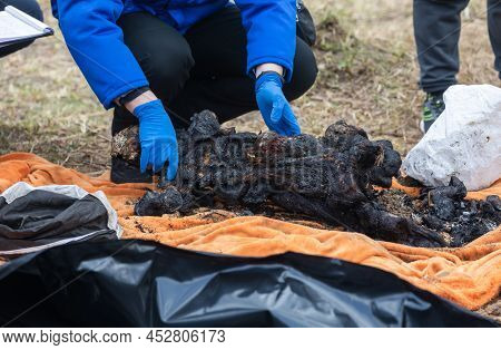 Genocide In Bucha, Ukraine