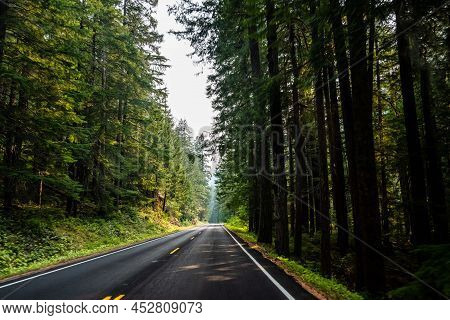 A Long Way Down The Road Of Mt Rainer Np, Washington