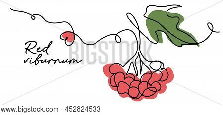 Red Viburnum Simple Color Vector Illustration. Ukrainian Berry. One Continuous Line Art Drawing Of R