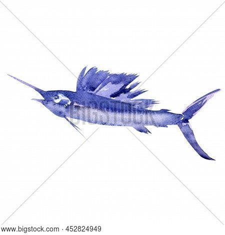 Atlantic Blue Marlin Fish, Swordfish, Fish Sword, Makaira Nigricans, Isolated, Ocean, Sea Fish, Clos