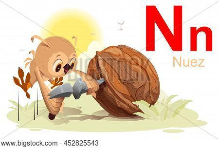 Spanish Alphabet Letter N Nuez Walnut Translation Spanish. Fun Bird Owl Stab Nut