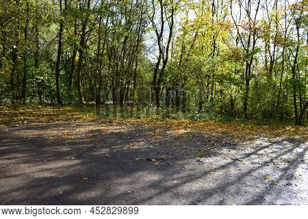 Forest Parking Lot With Early Autumn Trees