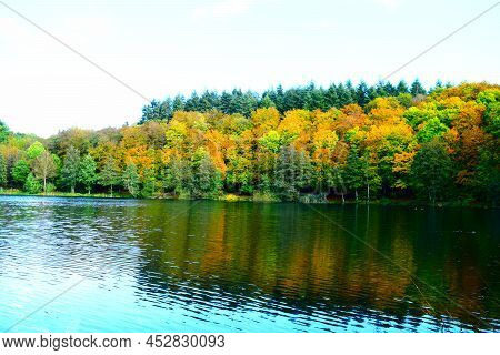 Autumn Forest Reflected In The Caldera Lake, Gillenfeld, Holzmaar