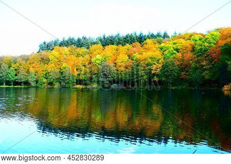 Bright Autumn Colors With Reflected Forest In Sunshine