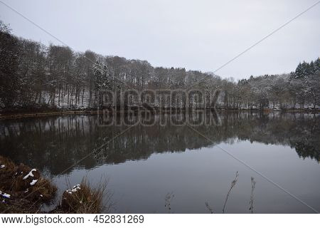 Winter Cold With Snow In The Bold Forest Around The Caldera Lake Holzmaar