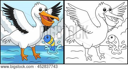 This Coloring Page Shows A Pelican Animal. One Side Of This Illustration Is Colored And Serves As An