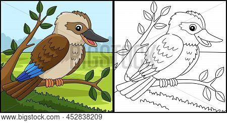 This Coloring Page Shows A Kookaburra Animal. One Side Of This Illustration Is Colored And Serves As