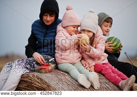 Four Kids With Fruits In Hands Sitting On Haycock At Field.