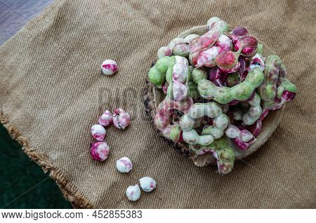 Group Of Manila Tamarind Fruit Or Pithecellobium Dulce Is Another Type Of Thai Herb On Wooden Log Ba