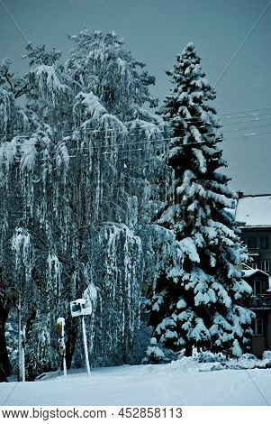 Ostrowiec Swietokrzyski In Winter, After Heavy Snowfall, Trees Are Covered With A Rich (and Thick) 