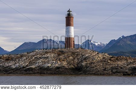View Of Sea Lions And Cormorants On Les Eclaireurs Island With Lighthouse, Ushuaia, Tierra Del Fuego