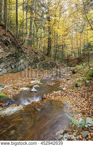 Nature Landscape With Leaf Fall On River, Covered Colorful Foliage,  In Mountain Gorge On Turichka R