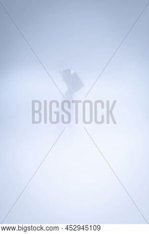 Gentoo Penguin Stands Cocking Head In Snowstorm