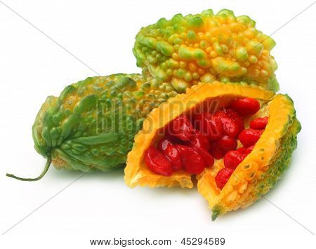 Green Momordica oder karela