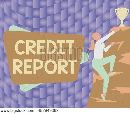 Text Sign Showing Credit Report. Business Concept Borrowing Rap Sheet Bill And Dues Payment Score De