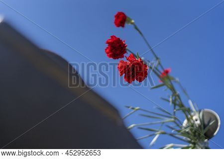 25 Of April, Celebration Of 50 Years, Portugal Freedom Day.. Revolution Of The Carnations 1974 Army 