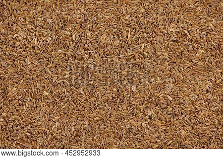 Dry Rolls Dill - Anethum Graveolens - Seeds On Flat Surface, Flat Texture And Full-frame Background.