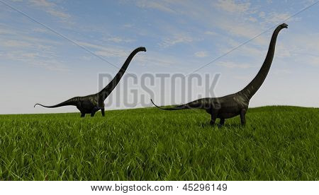 mamenchisaurus 산책