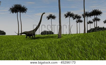 mamenchisaurus 산책