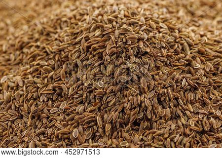 Dry Rolls Dill - Anethum Graveolens - Pile Closeup Full-frame View With Selective Focus. It Is Only 