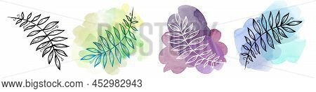 Set Tropical Leave On Watercolor Blot. Provence Illustration. Laurel Leave. Set Illustration On Whit
