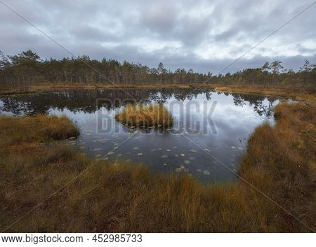 Swampy Lake With An Island Under Gloomy Autumn Sky