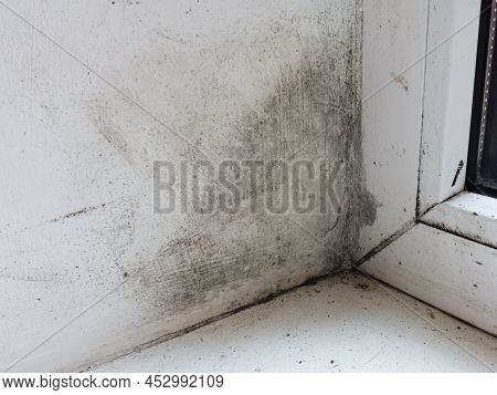 Mold On The Wall Of The Window From Moisture, An Allergic Dangerous Formation On The Walls Of The Ap