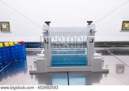 Dna Electrophoresis Methods. Block Of Polyacrylamide Gel For Separation Of Dna Molecules.
