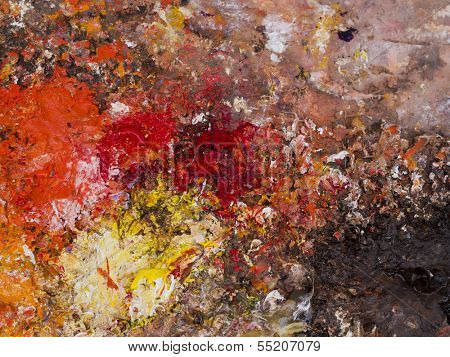 Painter palette full of colors