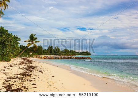Seychelles Tropical Beach At Sunset